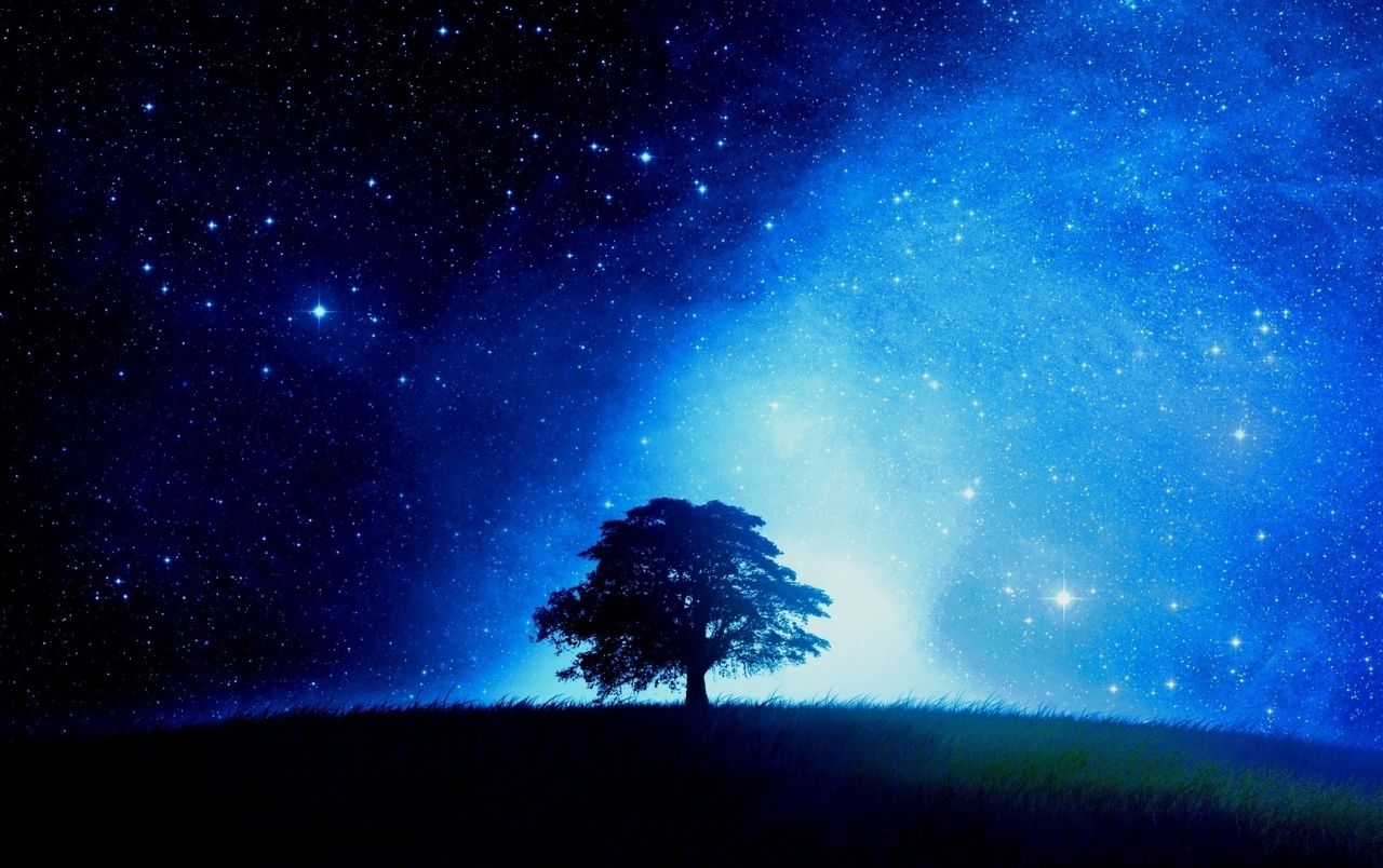 Baum, Sternenhimmel, Silhouette, Nacht, Weltraum, Leuchtend, HD, Breitbild-Hintergrundbild