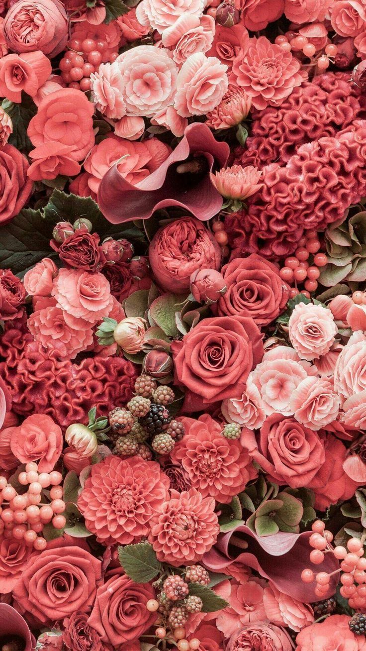 Rosen, Rote Rosen, Blumenwand, Blumenarrangement, Rosa, HD, Handy-Hintergrund im Hochformat