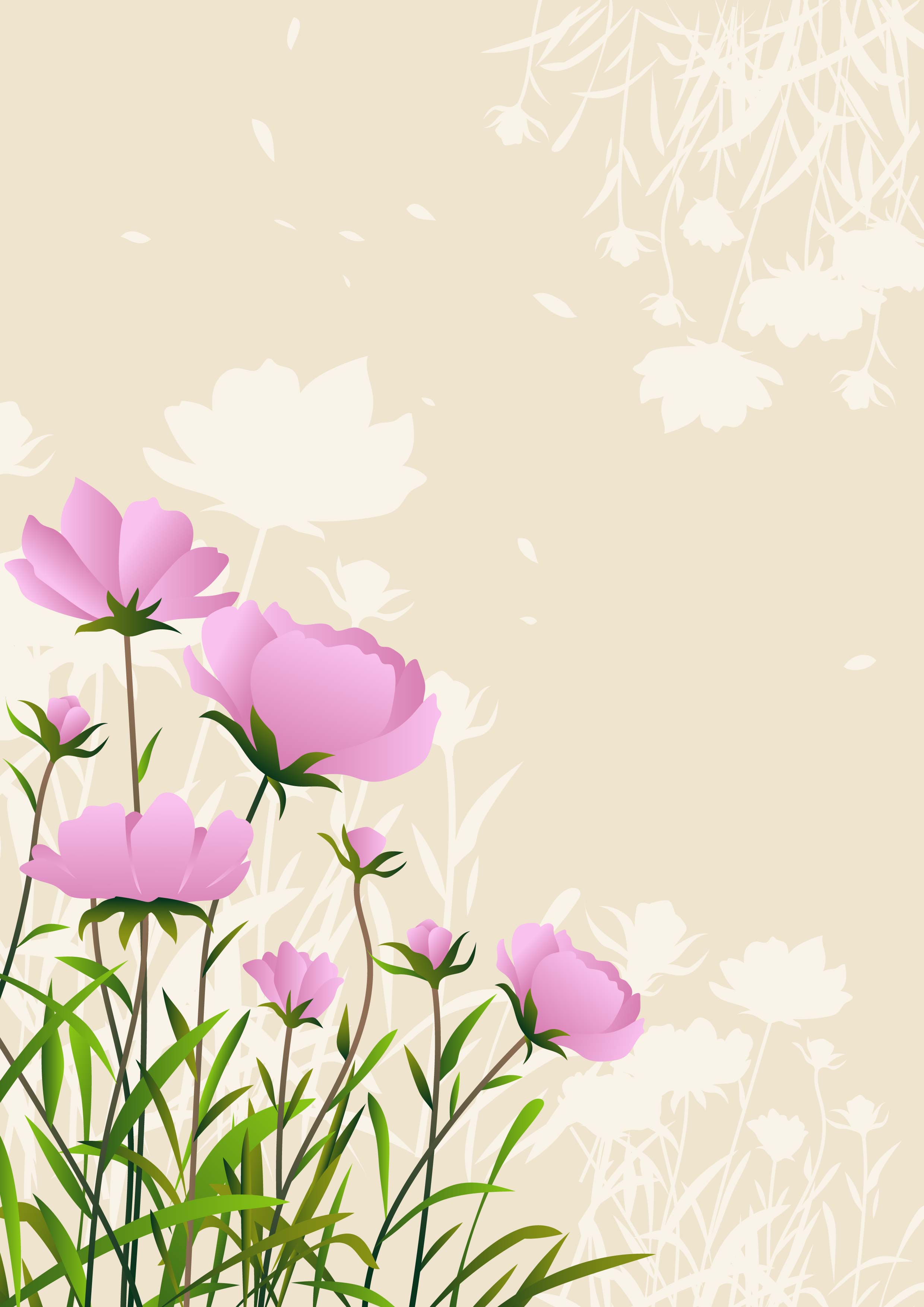 Kosmeen, Illustration, Beiger Hintergrund, Pastell, Rosa Blüten, QHD+ Wallpaper
