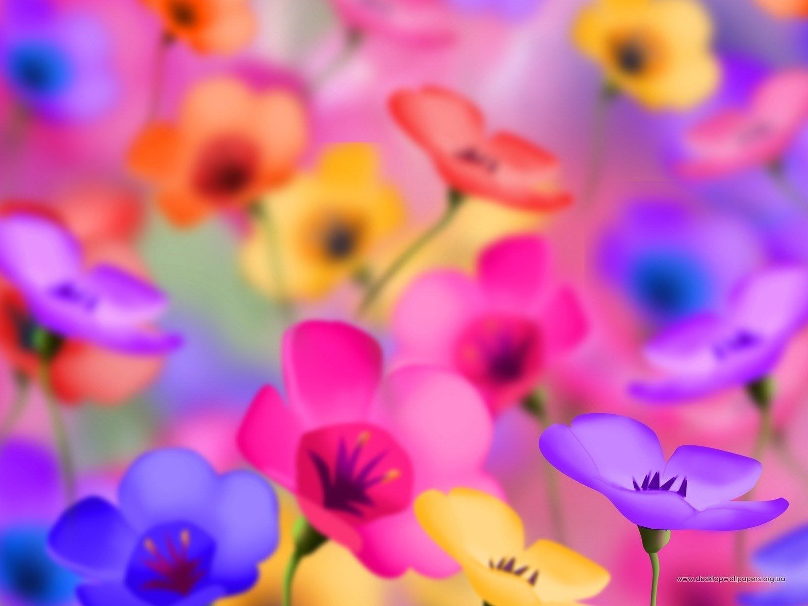 Bunte Blüten, Leuchtende Farben, Mohn, Violett, Digitale Kunst, HD, iPad-Hintergrundbild