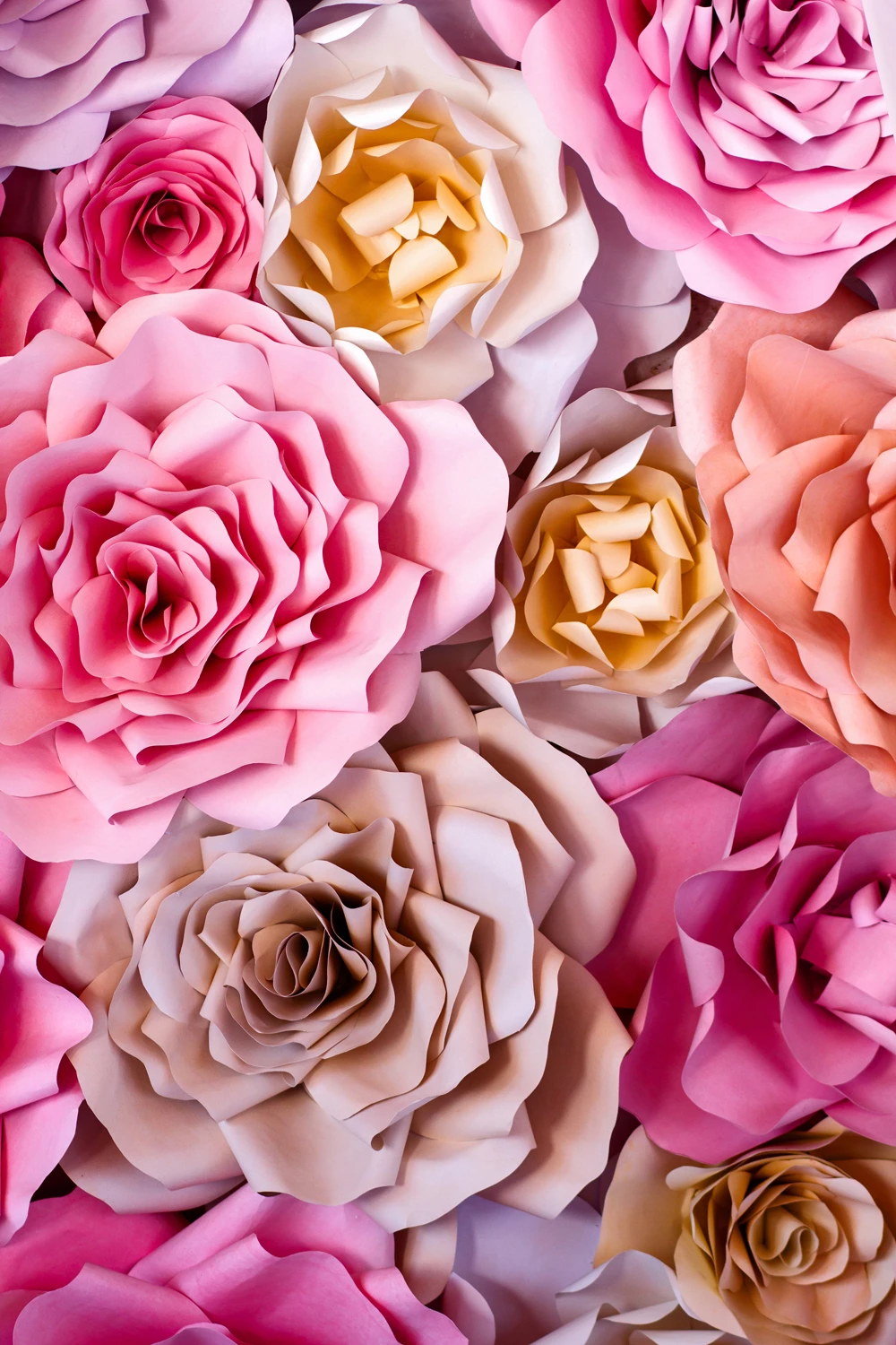 Rosen, Papierblumen, Rosa, Pastell, Blumenwand, HD, Hintergrundbild fürs Handy