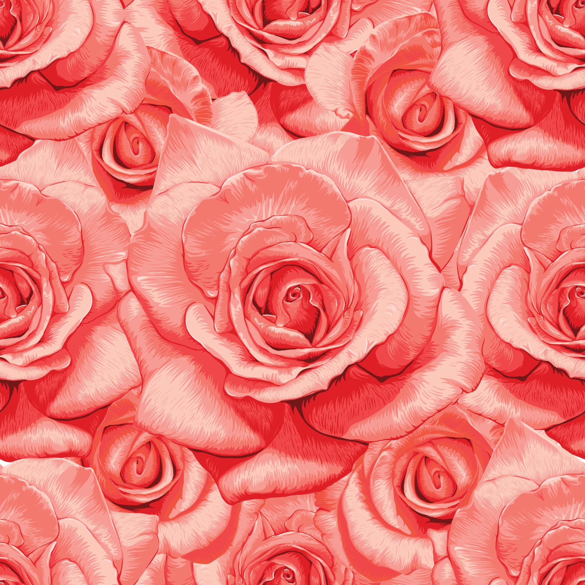 Rosen, Korallenrot, Muster, Rosenblüten, Textur, Full HD, Hintergrundbild fürs Tablet