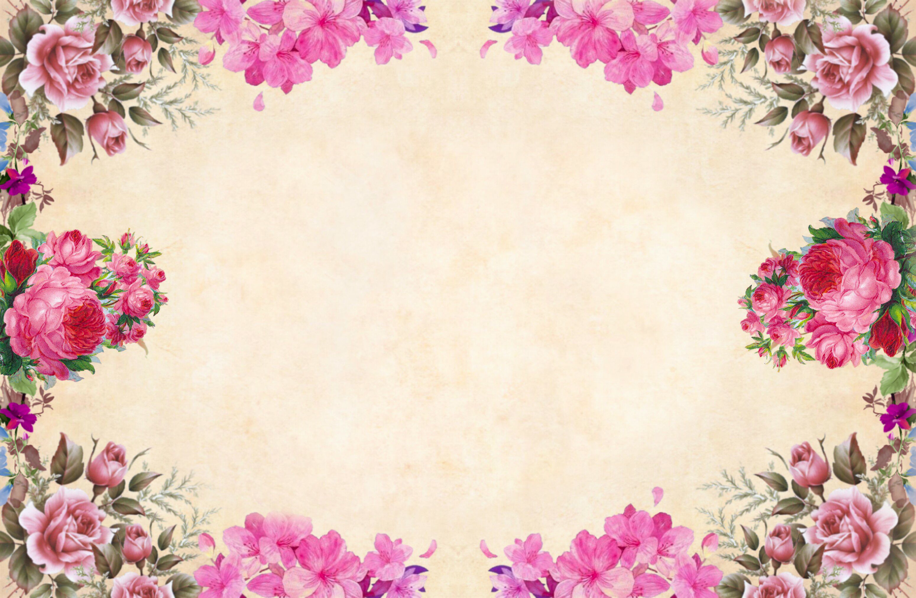 Blumenrahmen, Rosen, Vintage, Pergament, Rosa Blüten, 2K, Hintergrund für den Desktop