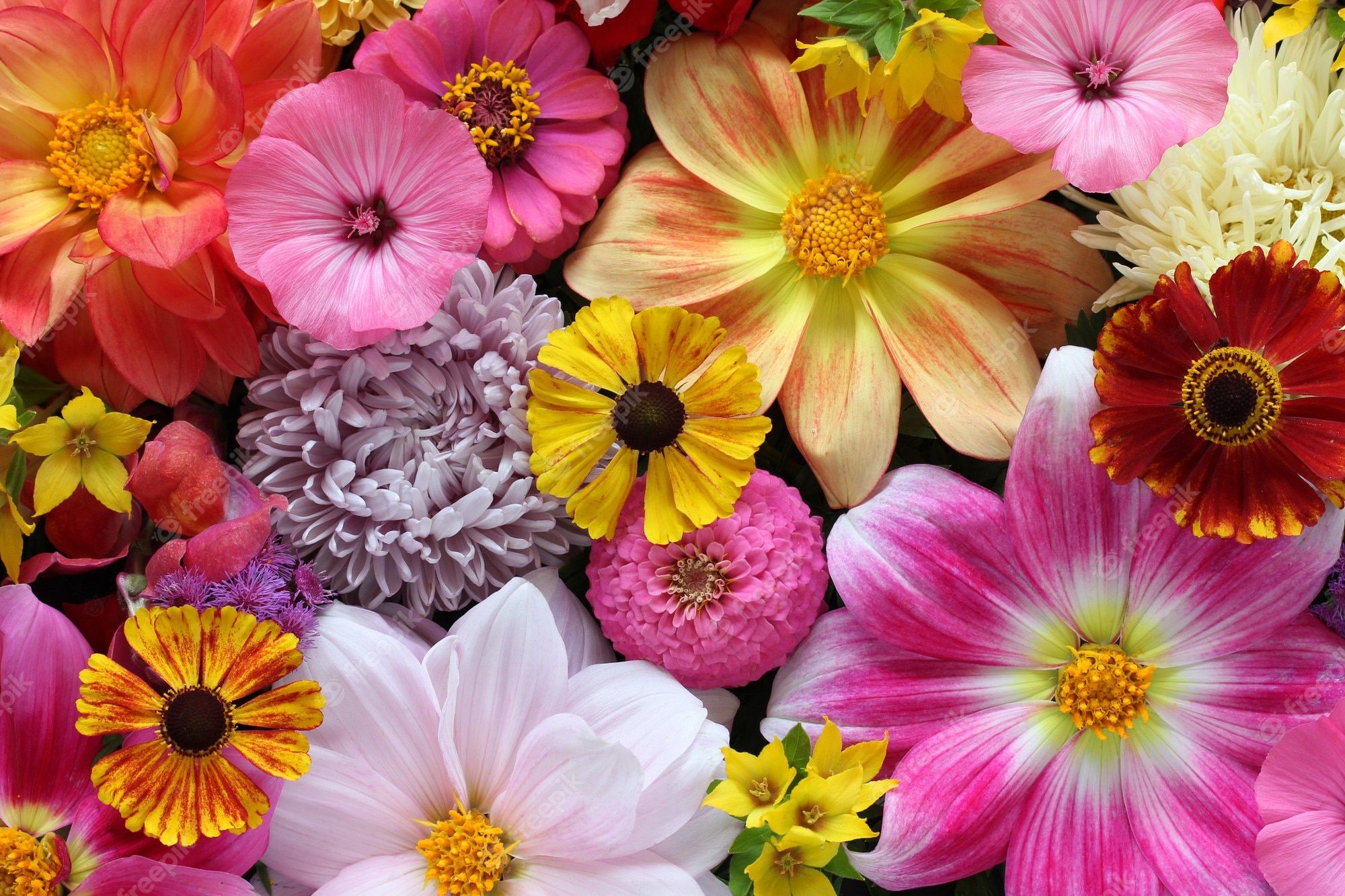 Dahlien, Gerbera, Bunte Blüten, Leuchtende Farben, Blumenstrauß, Full HD, Windows-Hintergrundbild