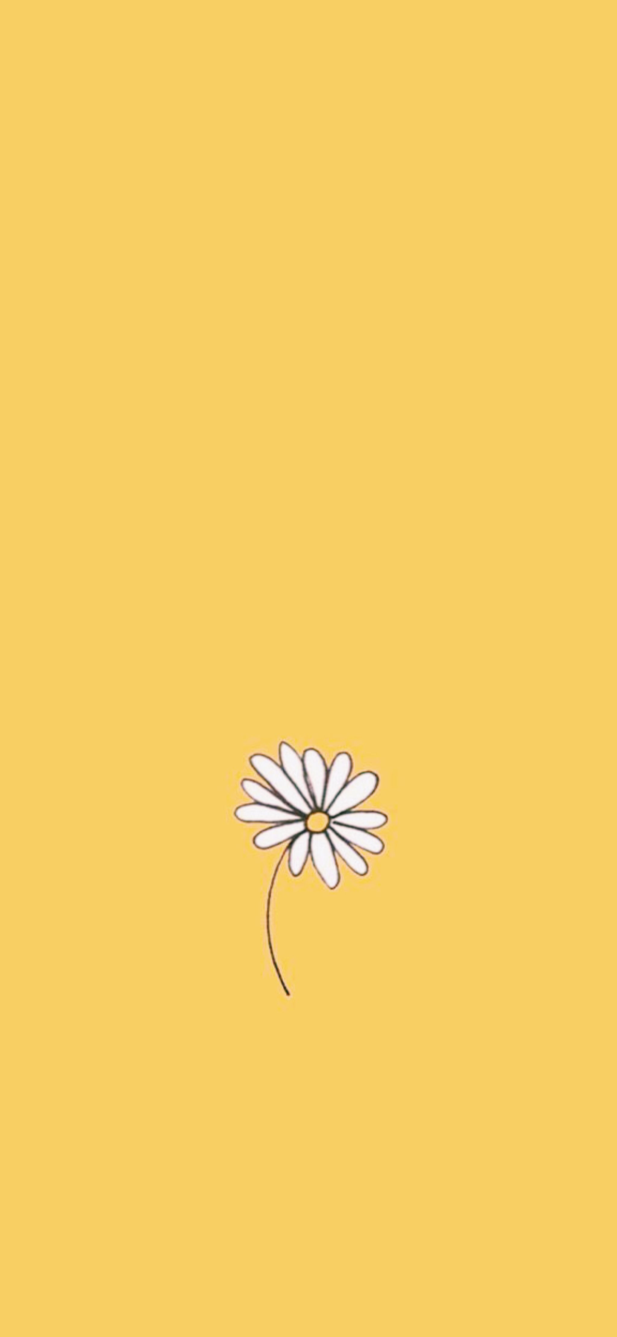 Gänseblümchen, Minimalistisch, Gelber Hintergrund, Linienzeichnung, Sperrbildschirm fürs iPhone
