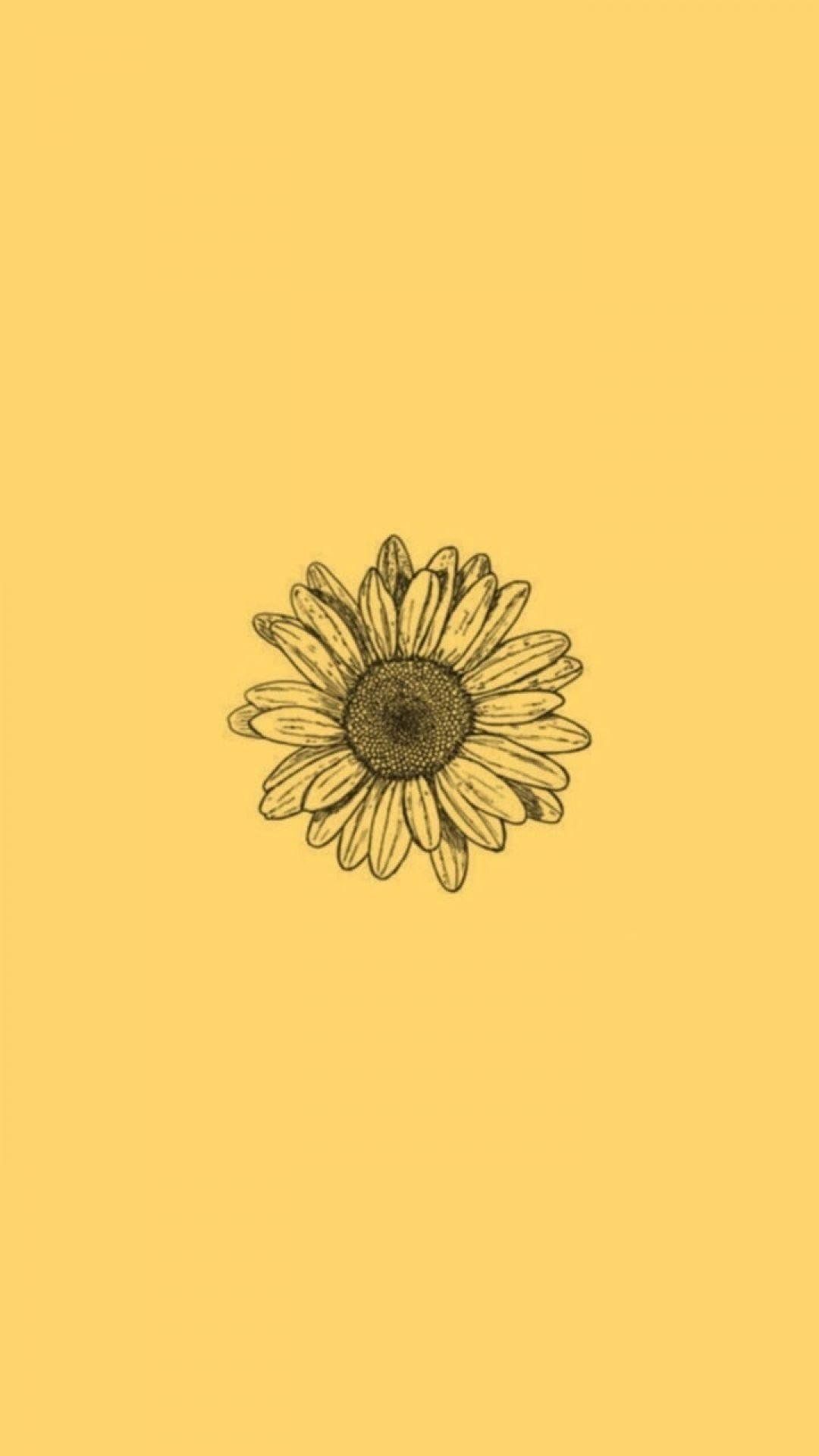 Sonnenblume, Strichzeichnung, Minimalistisch, Pastellgelb, Full HD, Handy-Hintergrund