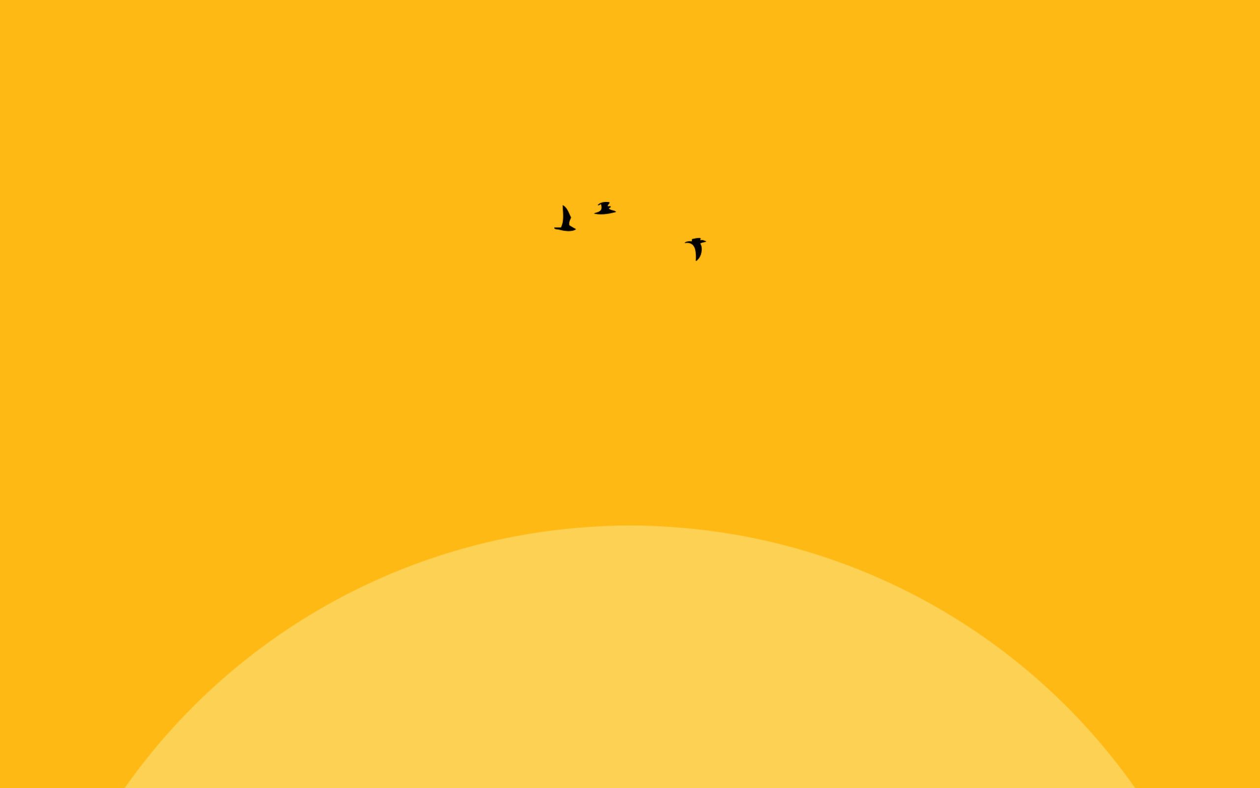 Sonne, Vögel, Minimalistisch, Orangegelb, Flaches Design, 2K, Desktop-Hintergrund
