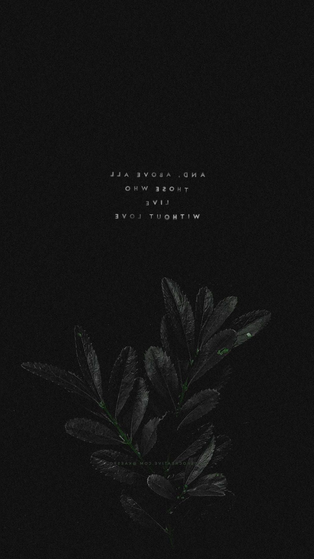 Blätter, Zitat, Dunkelgrün, Pflanze, Schwarz, Minimalistisch, HD, iPhone-Hintergrundbild