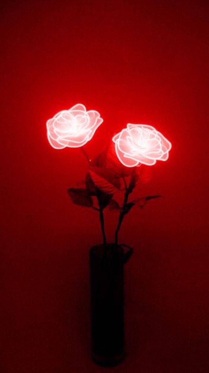 Neonrosen, Rotes Licht, Vase, Dunkel, HD, Sperrbildschirm fürs iPhone