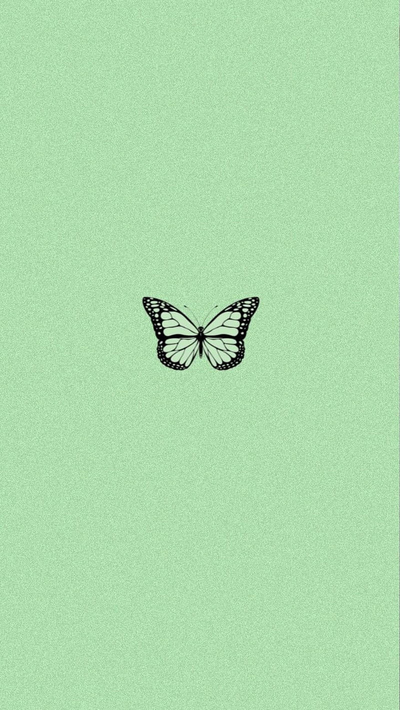 Schmetterling, Mintgrün, Minimalistisch, Strichzeichnung, Android-Hintergrundbild