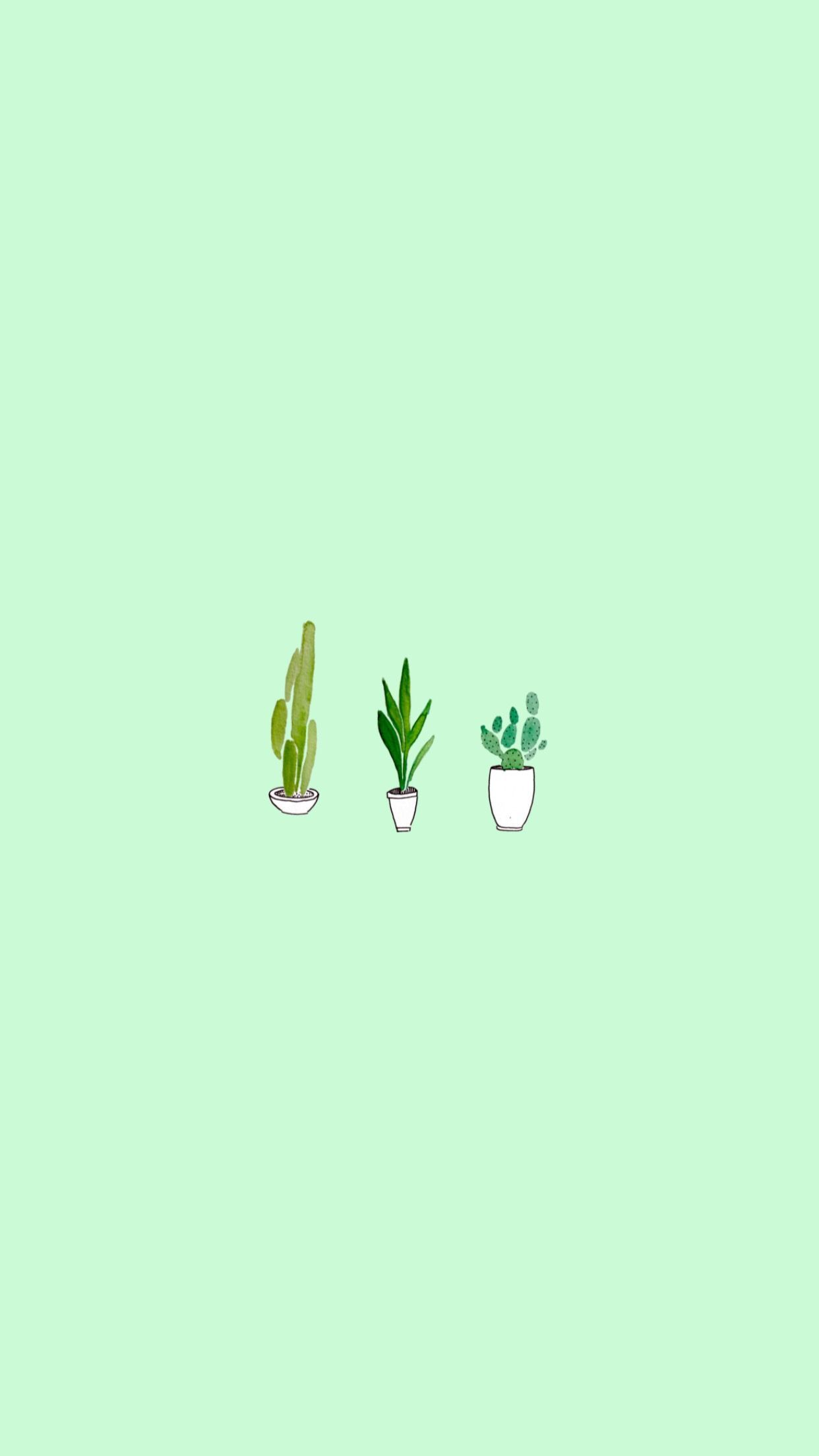 Kakteen, Topfpflanzen, Mintgrün, Minimalistisch, Illustration, 1242x2208, Handy-Hintergrund