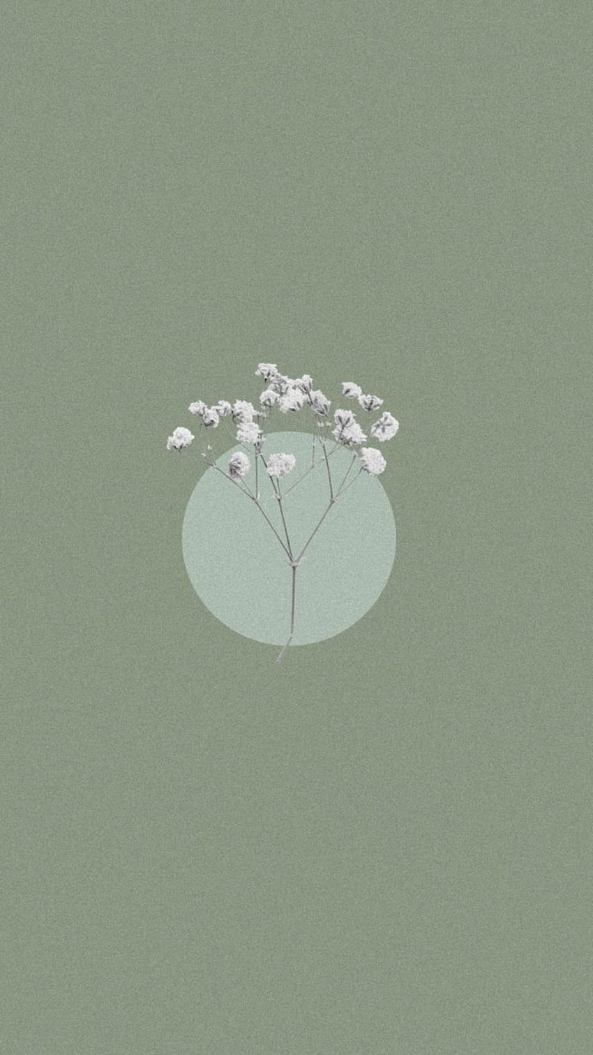 Blüten, Kreis, Salbeigrün, Minimalistisch, Grau, HD, Handy-Hintergrund im Hochformat