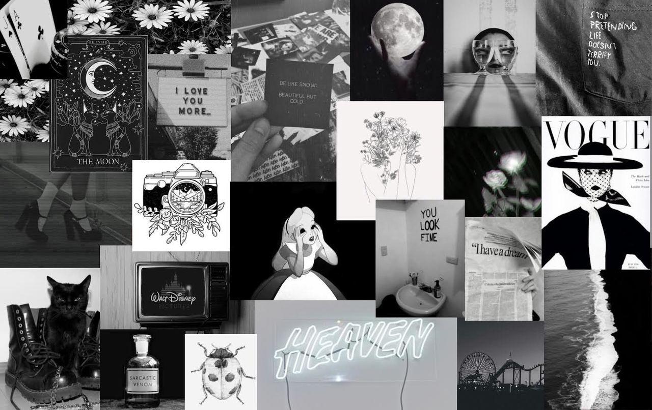 Collage, Vogue, Heaven, Katze, Mond, Schwarzweiß, HD, Hintergrund für den Desktop