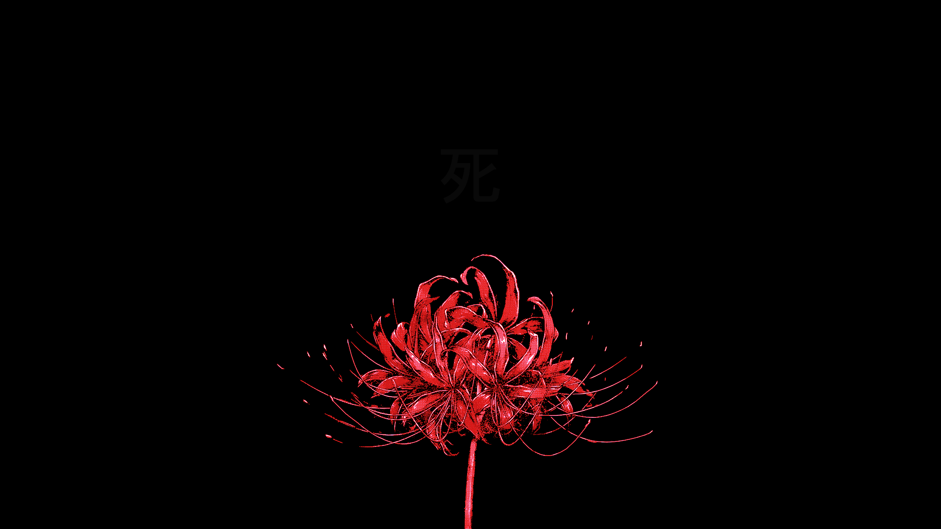 Rote Spinnenlilie, Higanbana, Schwarzer Hintergrund, Japanisches Schriftzeichen, Minimalistisch, 1080p Wallpaper
