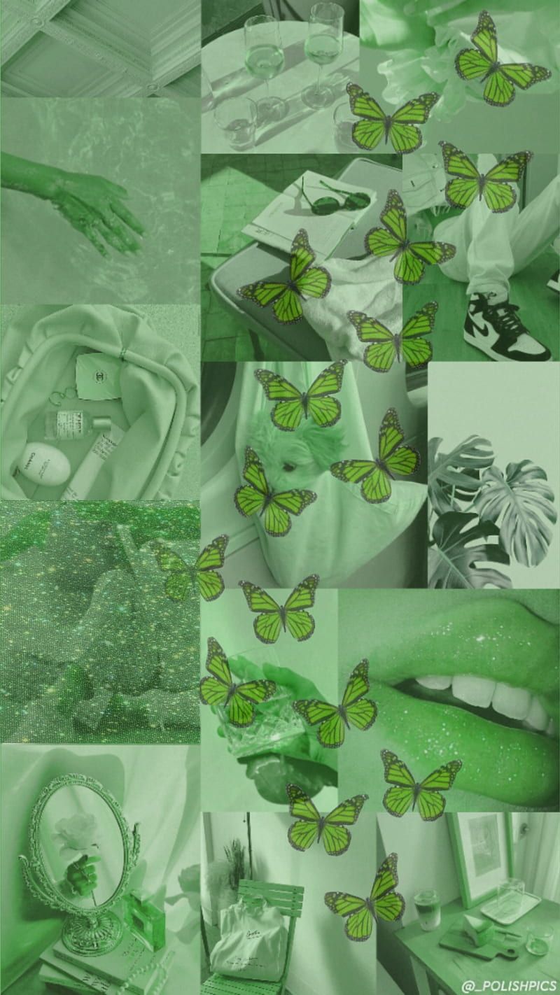 Collage, Schmetterlinge, Salbeigrün, Moodboard, Ästhetik, HD, Handy-Hintergrundbild