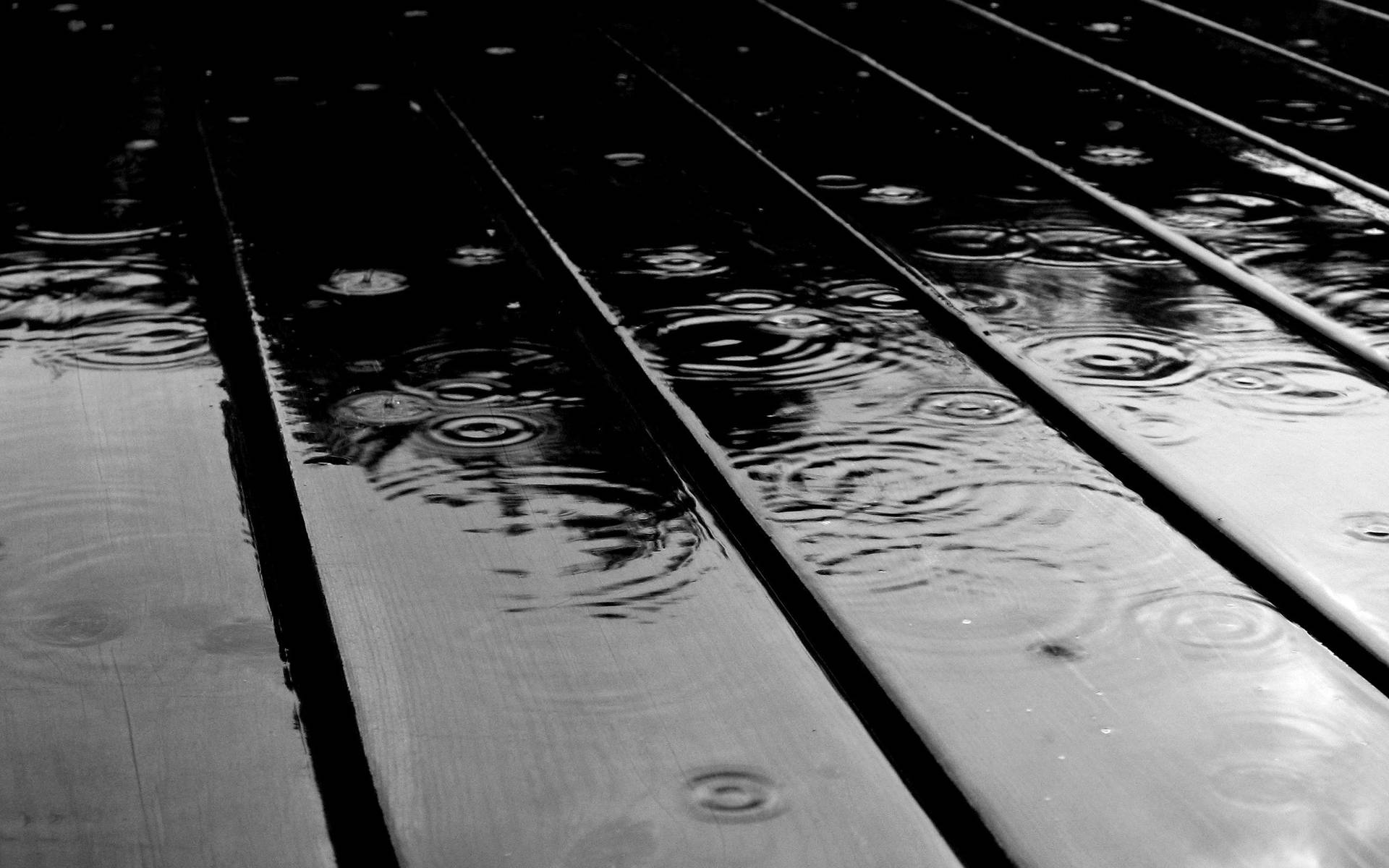 Regentropfen, Holzbretter, Nass, Regen, Schwarzweiß, Nahaufnahme, Full HD, PC-Hintergrundbild