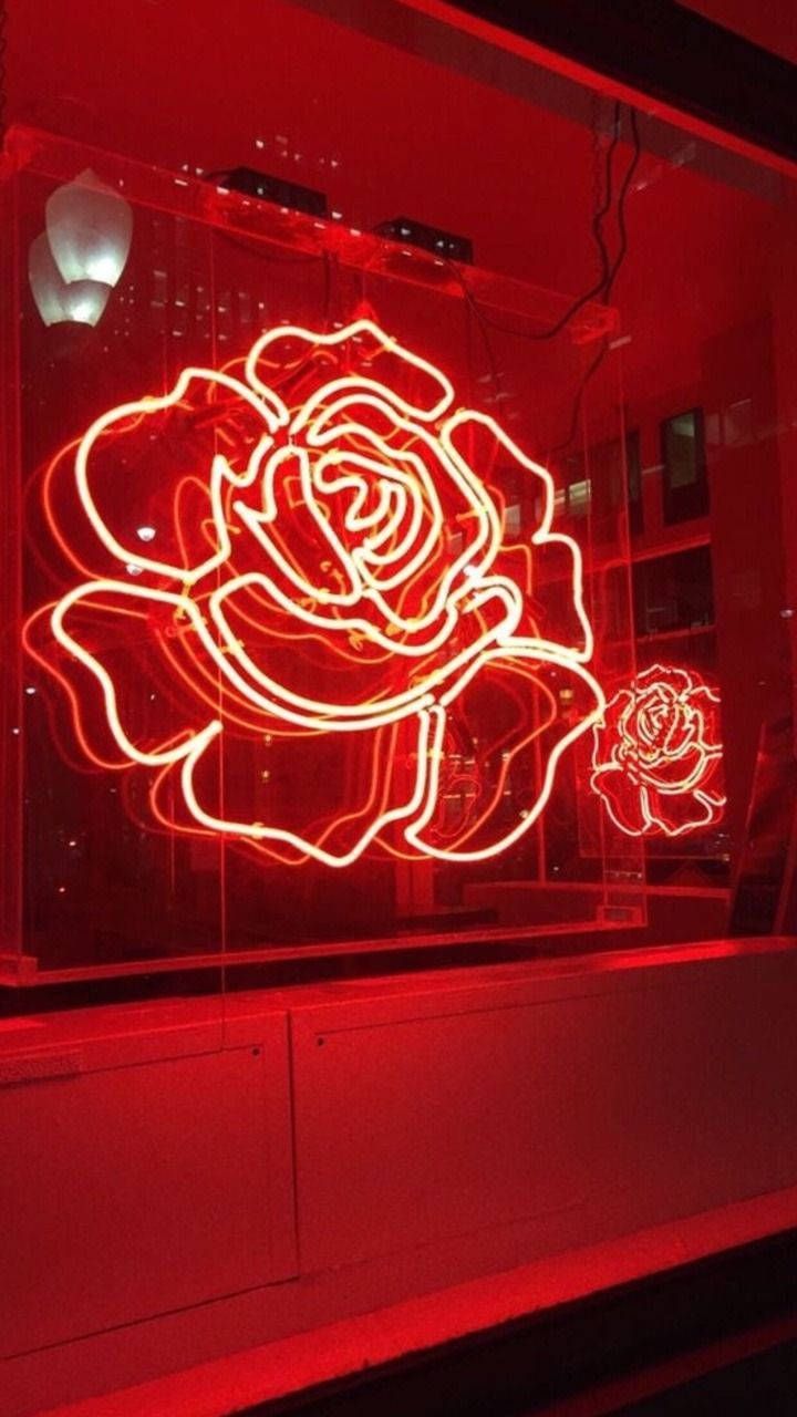 Neonrose, Rote Leuchtschrift, Wand, Hochformat, HD, Hintergrundbild fürs Handy