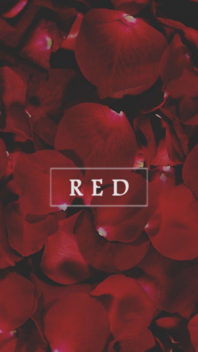 Rosenblätter, Red, Schriftzug, Dunkelrot, Hochformat, Hintergrundbild fürs Smartphone