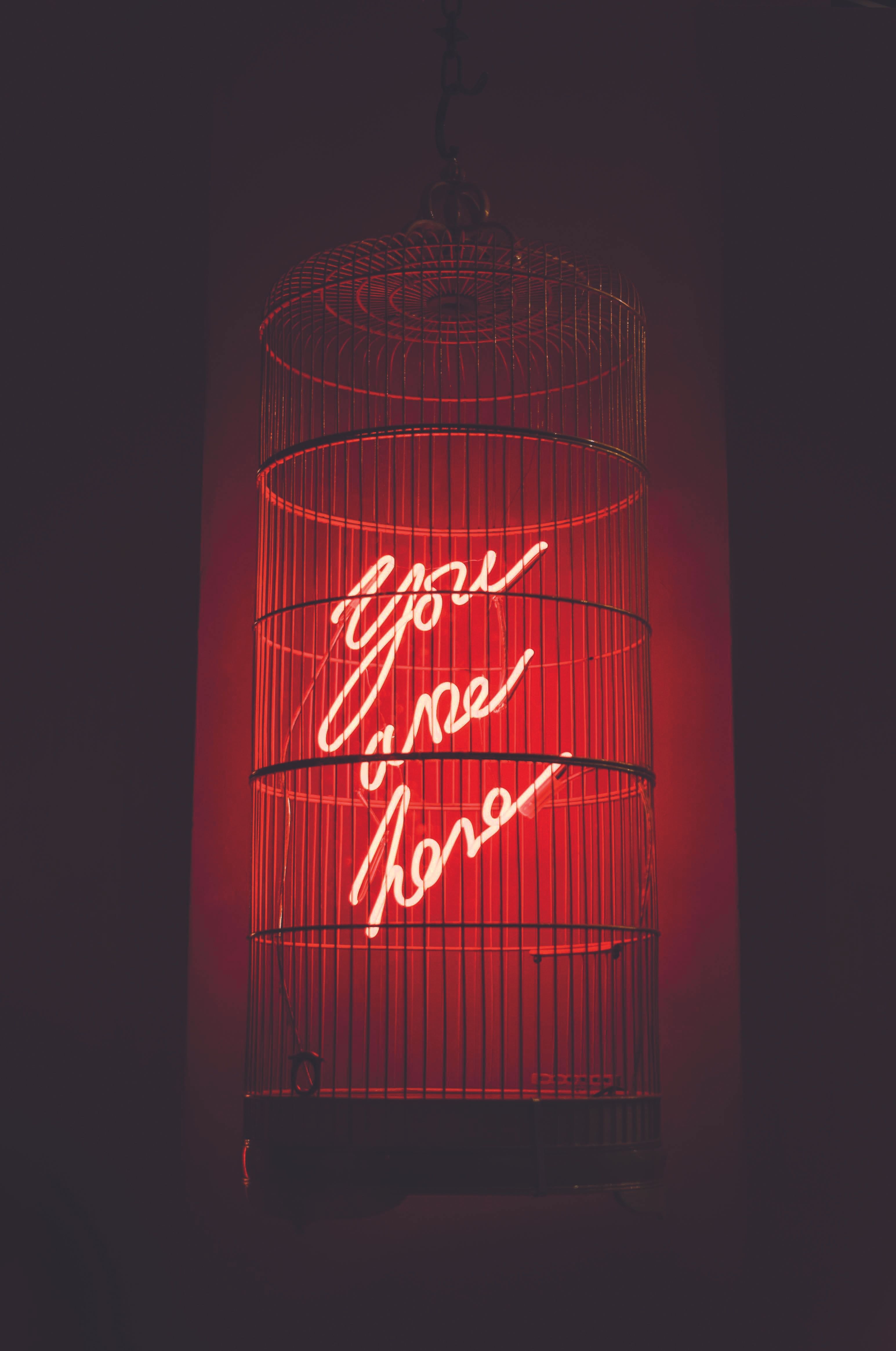 Neonschrift, Vogelkäfig, Rotes Licht, Dunkel, QHD+, Hintergrundbild fürs Handy