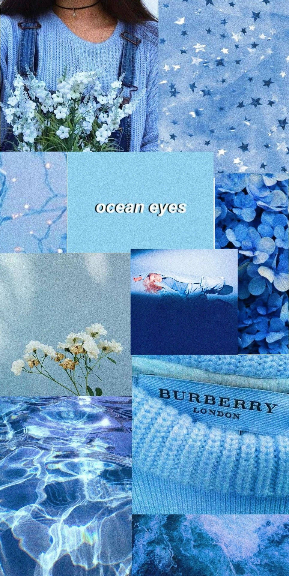 Collage, Burberry, Gänseblümchen, Wasser, Blau, Hochformat, Sperrbildschirm fürs iPhone