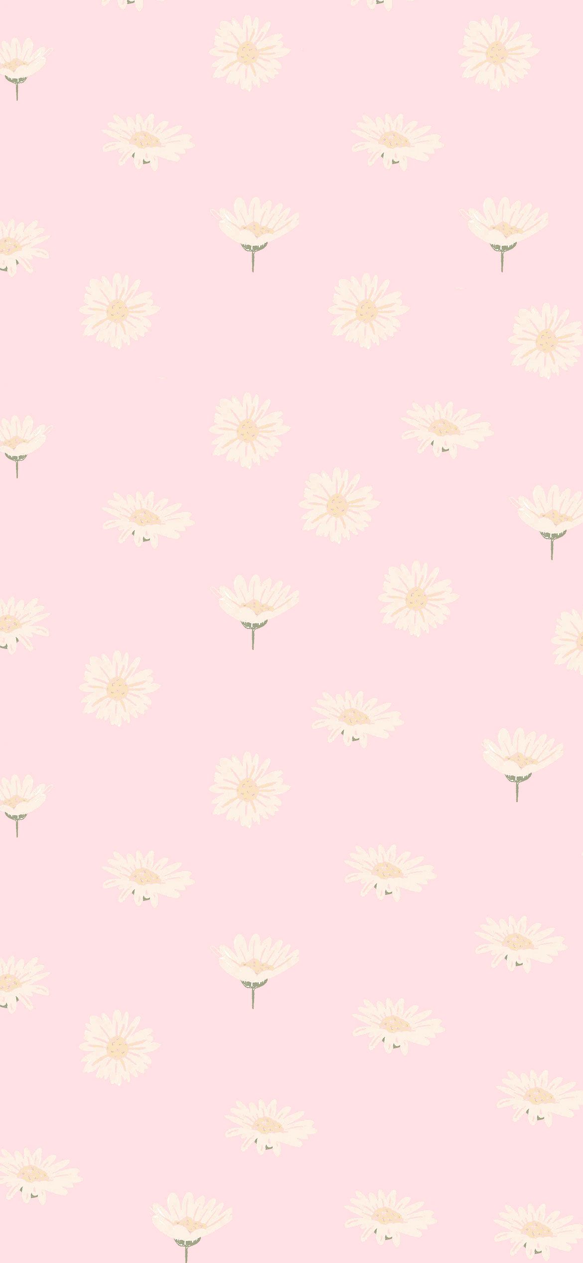Gänseblümchen, Muster, Hellrosa, Pastell, Full HD, Hintergrundbild fürs Handy