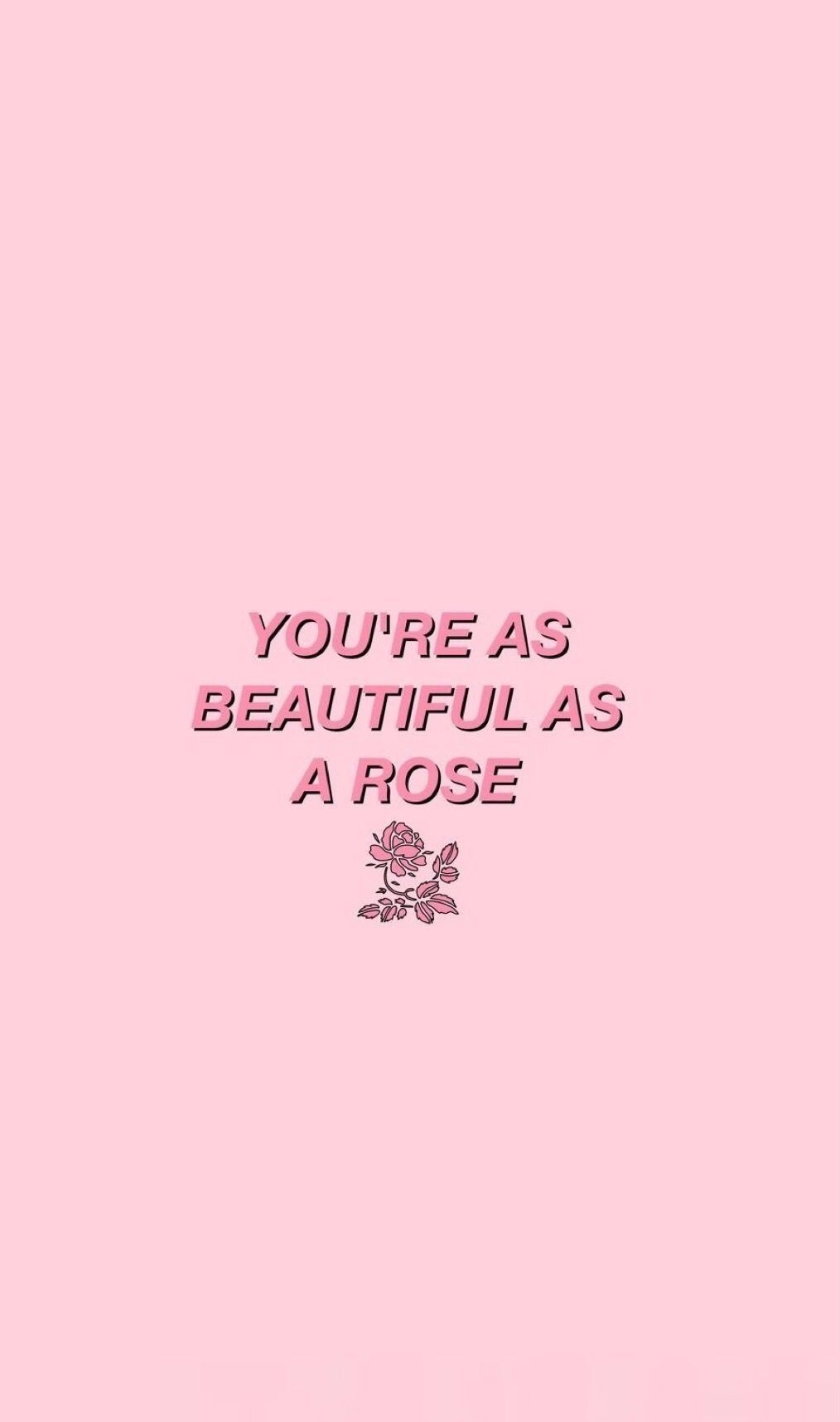 Spruch, Rose, Typografie, Rosa Hintergrund, HD, Sperrbildschirm fürs iPhone