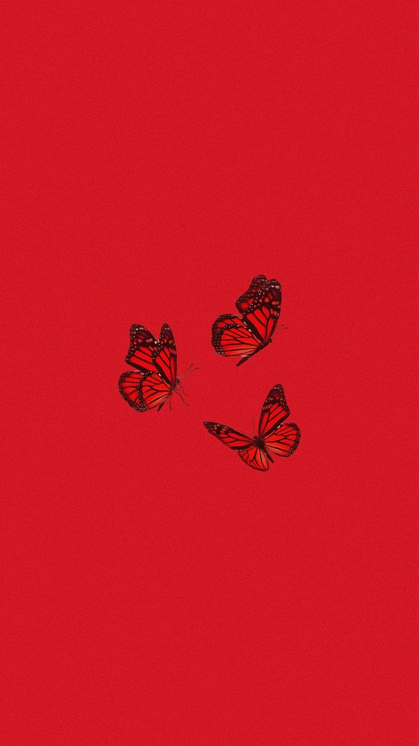 Schmetterlinge, Roter Hintergrund, Minimalistisch, Einfarbig, Sperrbildschirm fürs iPhone