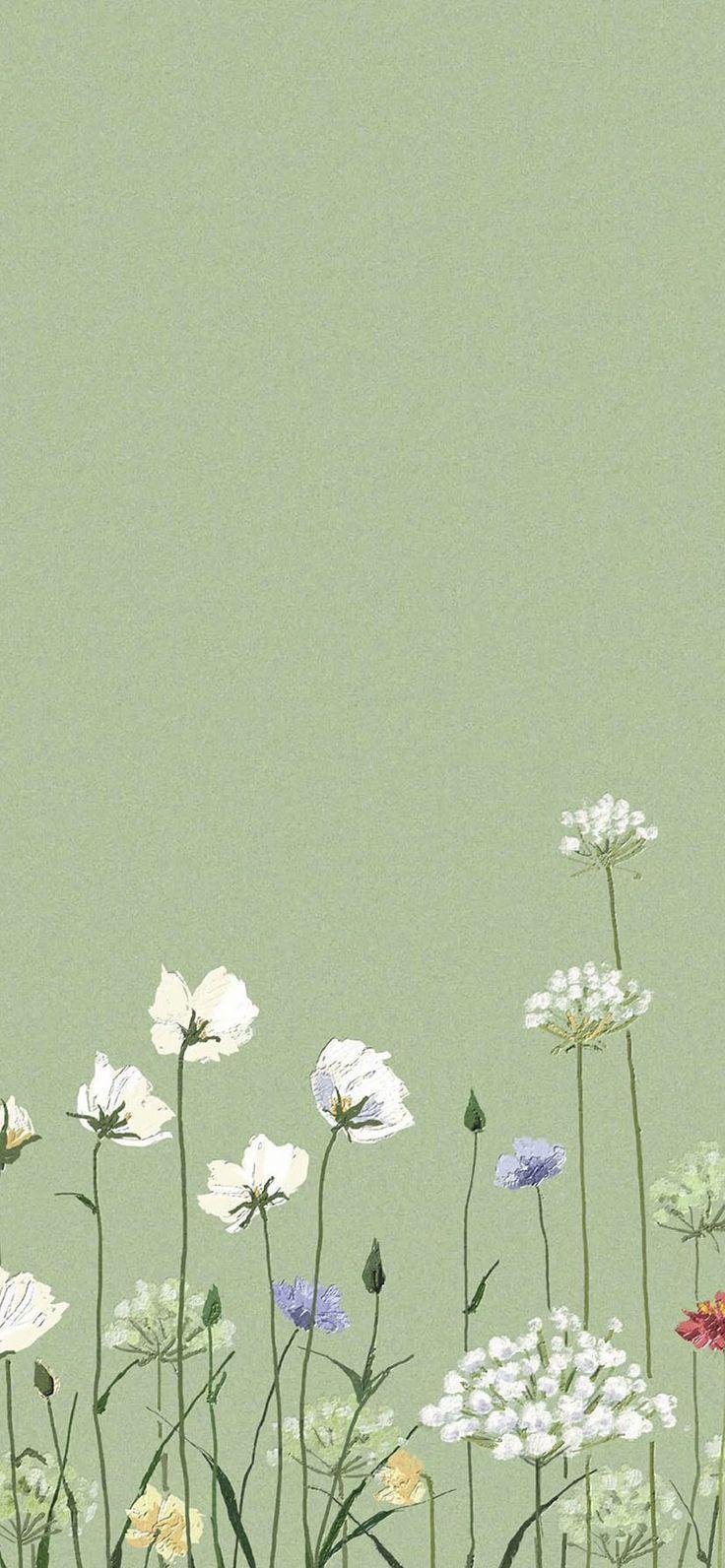 Wildblumen, Salbeigrün, Minimalistisch, Wiese, Blumen, HD, Hintergrundbild fürs Handy