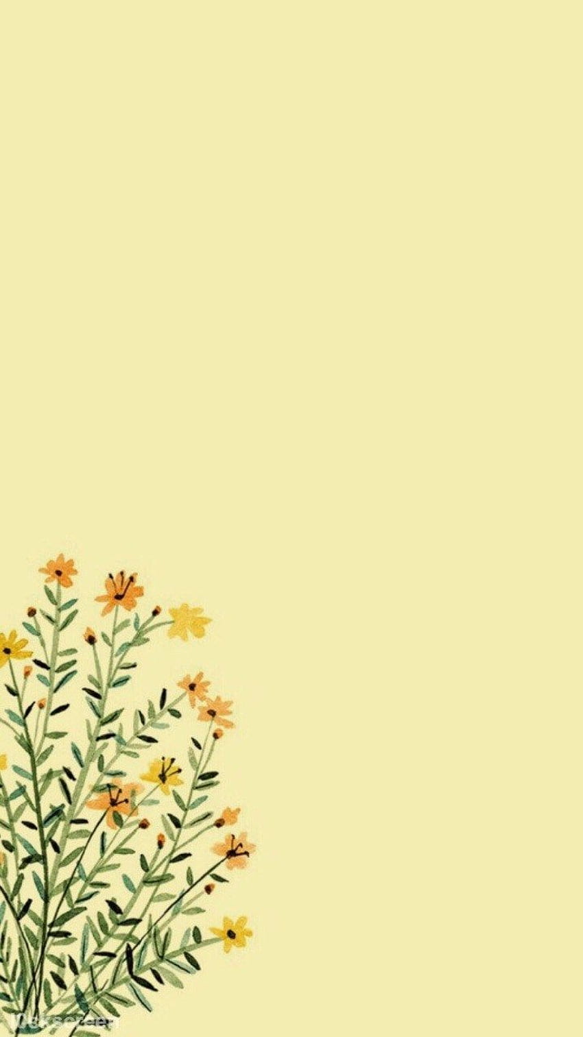 Wildblumen, Pastellgelb, Illustration, Minimalistisch, Blumen, HD, Handy-Hintergrundbild