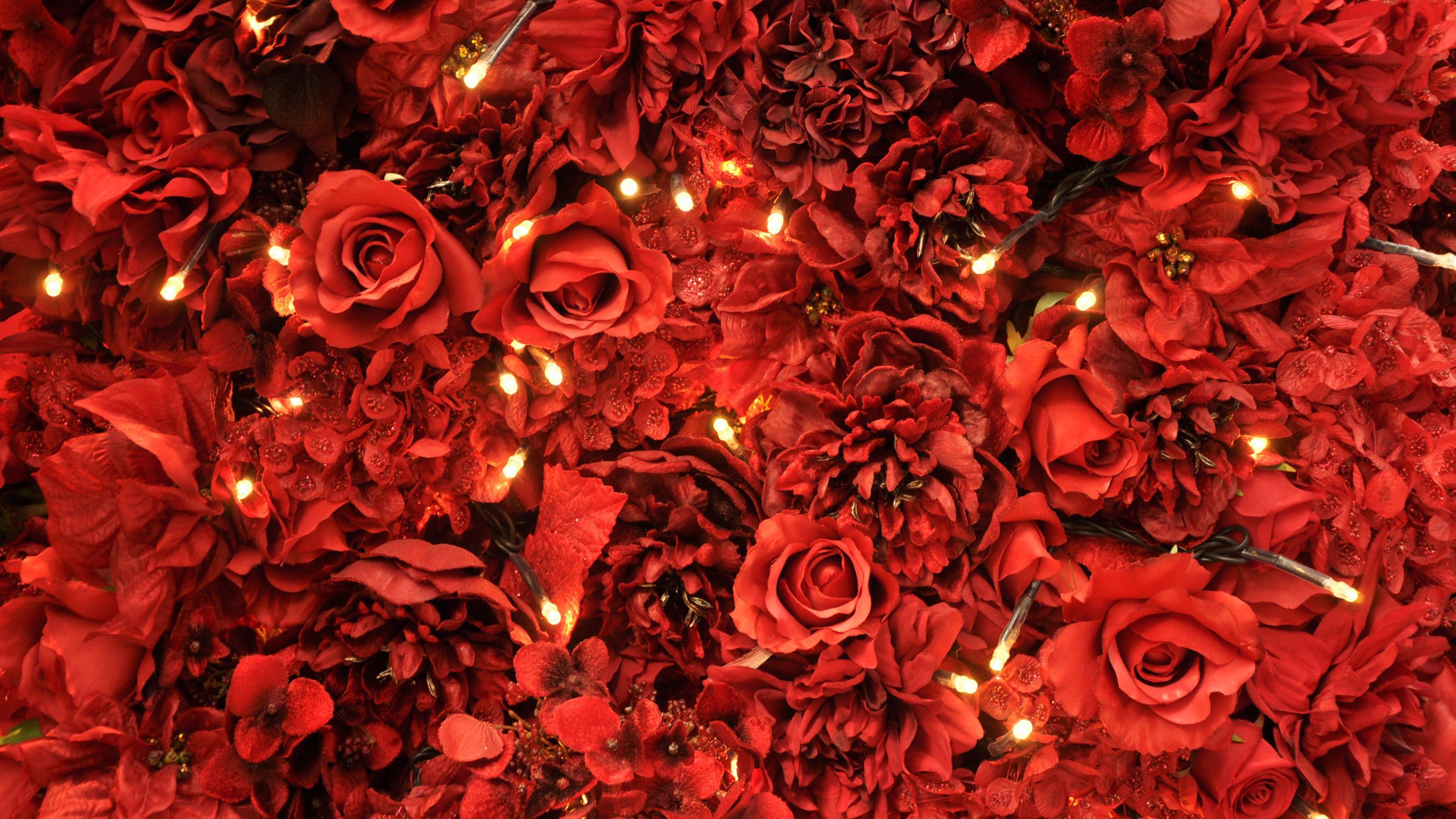 Rosenwand, Lichterkette, Blumen, Romantisch, 16:9, 2K-Hintergrundbild für den Desktop