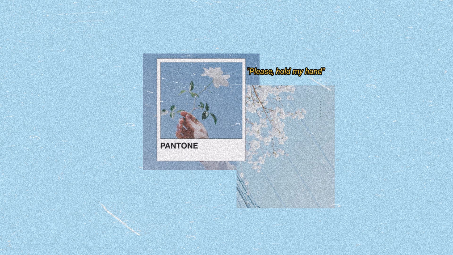 Pantone, Polaroid, Please Hold My Hand, Hellblau, Retro, Full-HD-Hintergrundbild für PC