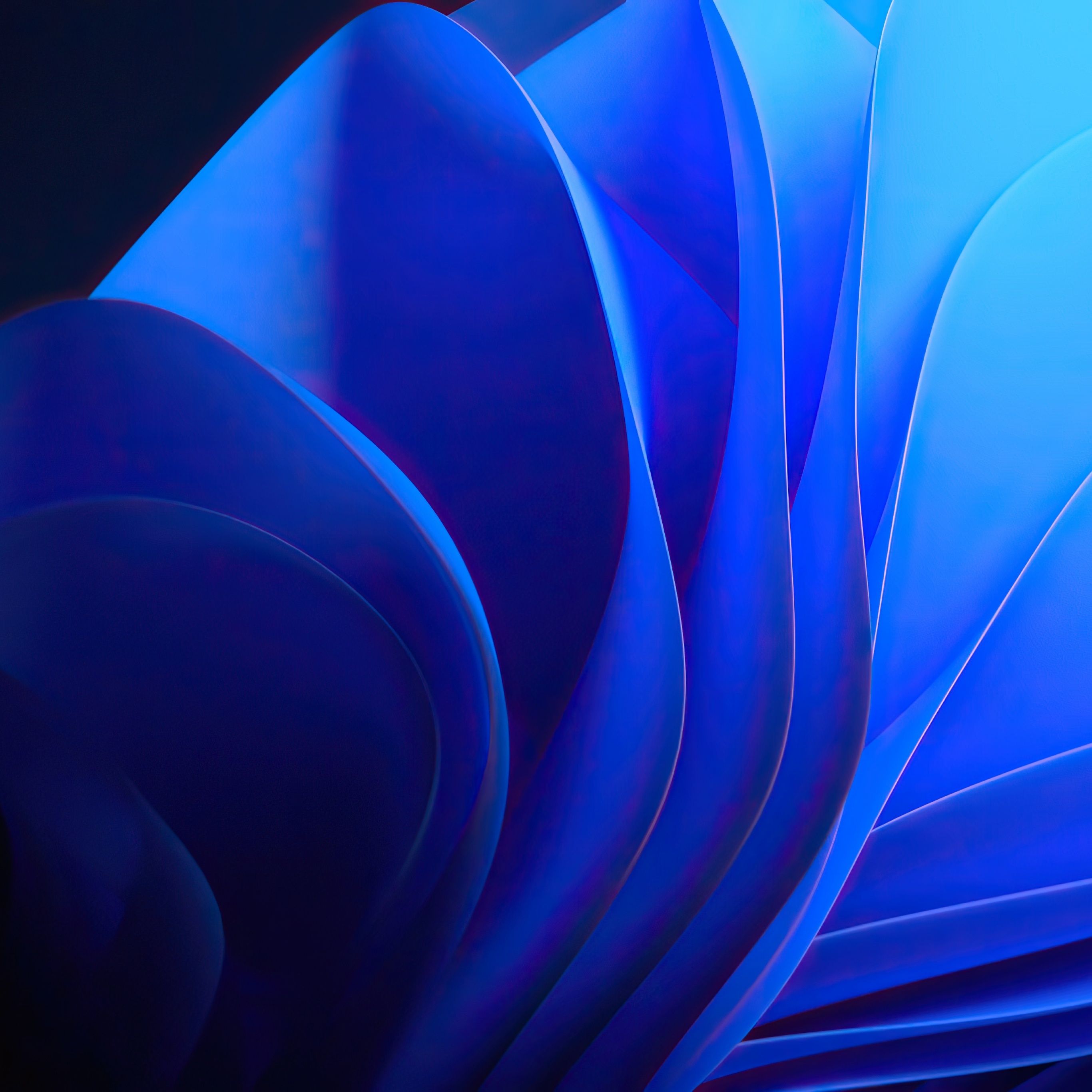 Windows 11, Bloom, Abstrakte Form, Royalblau, Dunkel, 2K, Hintergrundbild fürs Tablet