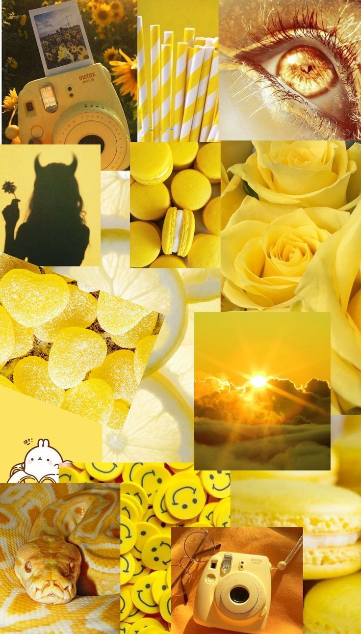 Collage, Gelbe Rosen, Sonnenuntergang, Kamera, Ästhetik, HD, Handy-Hintergrundbild