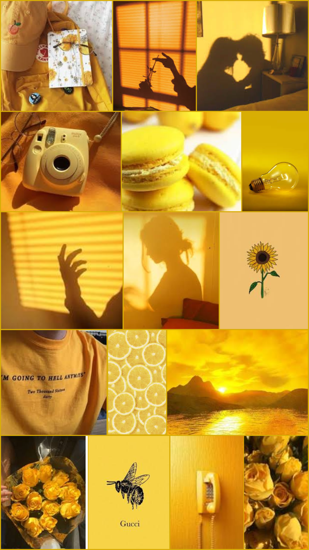 Collage, Schatten, Sonnenblume, Sofortbildkamera, Gelbe Ästhetik, 1080x1920, Handy-Hintergrund