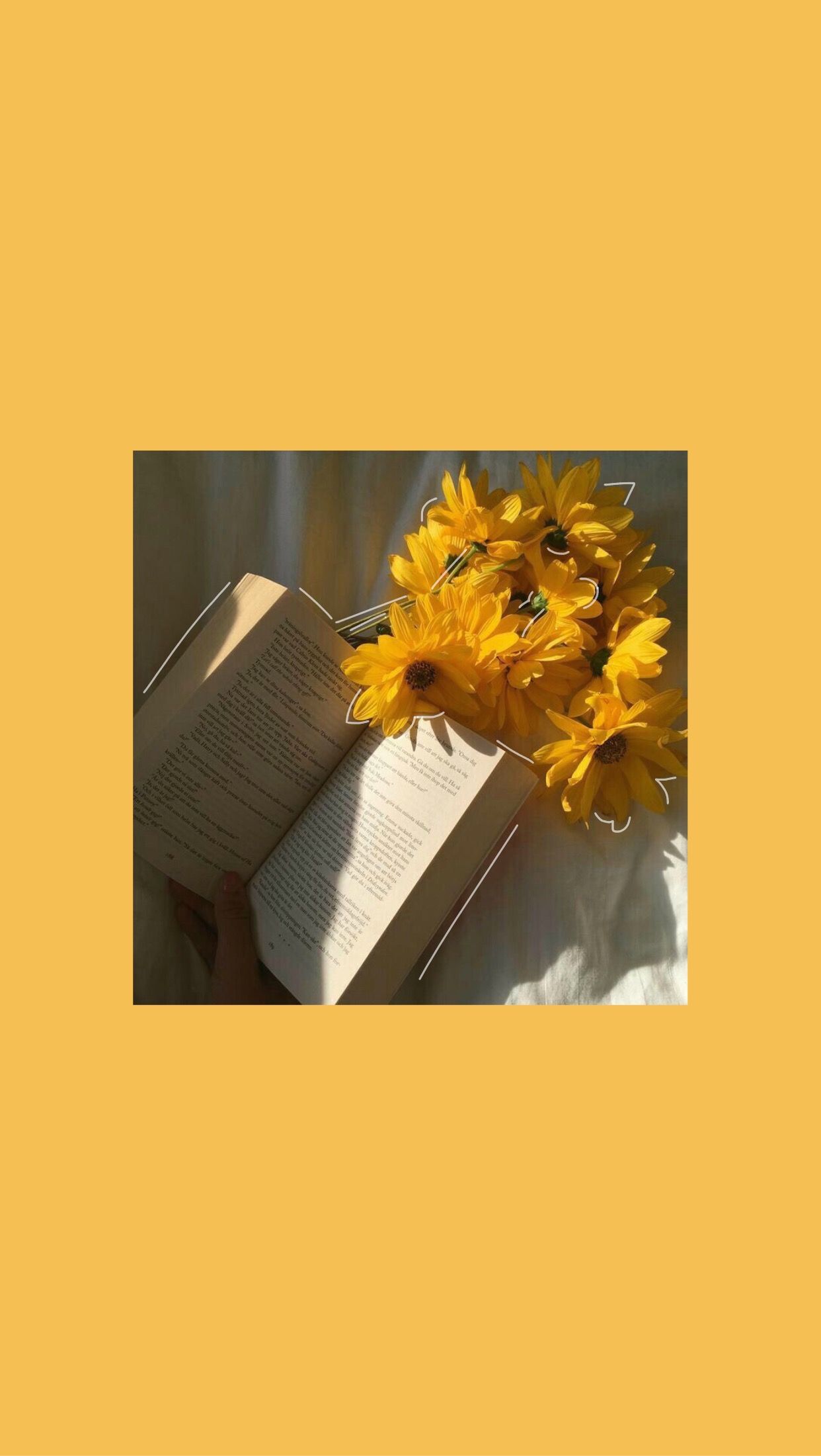 Gelbe Blumen, Strauß, Foto im Rahmen, Senfgelb, Minimalistisch, Full HD, iPhone-Hintergrundbild