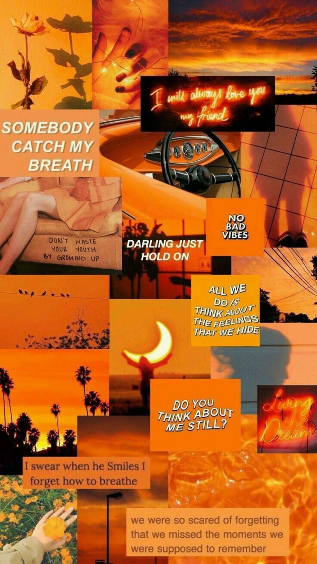 Collage, Ästhetik, Zitate, Sonnenuntergang, Orange, Full HD, Sperrbildschirm fürs iPhone