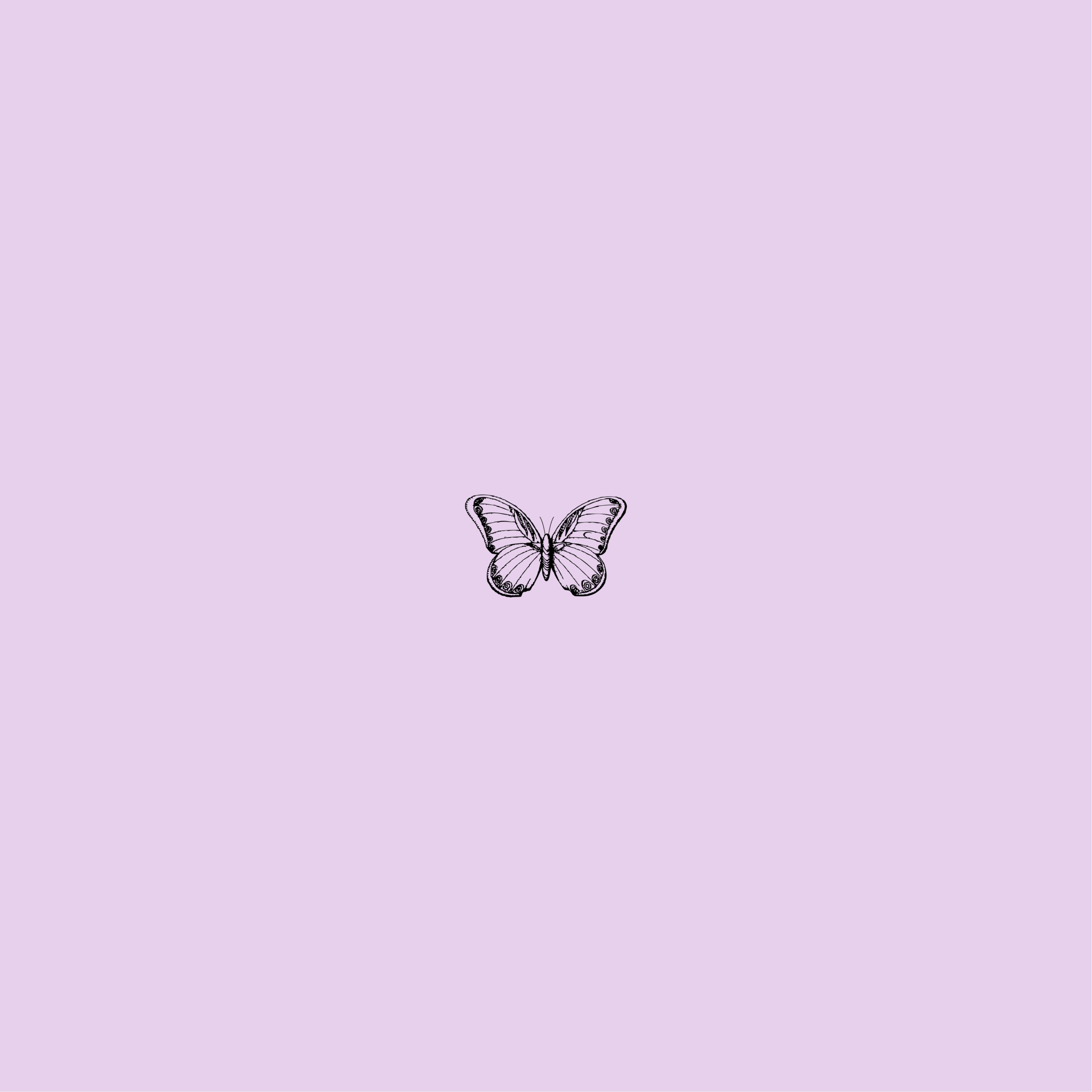Schmetterling, Flieder, Minimalistisch, Pastell, Strichzeichnung, Hintergrundbild fürs Tablet