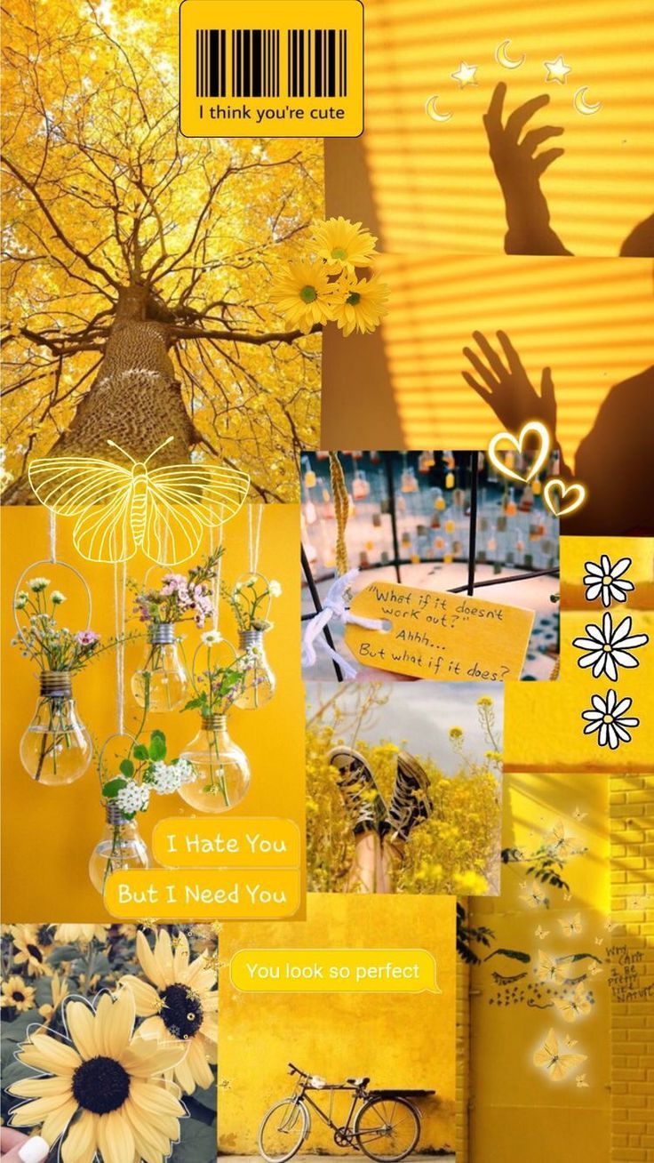 Collage, Hände, Gänseblümchen, Sonnenblume, Gelbe Ästhetik, HD, Handy-Hintergrund