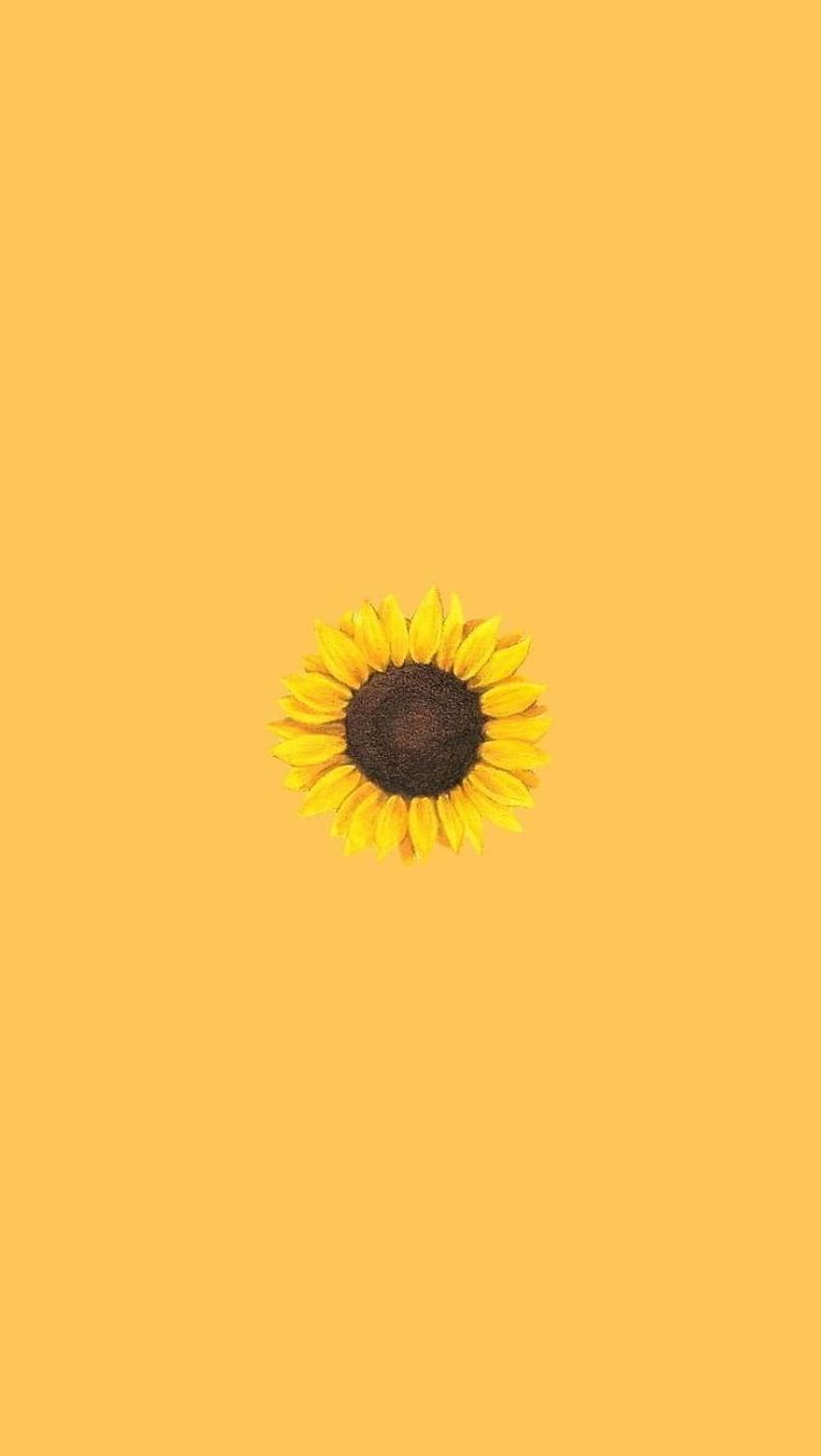 Sonnenblume, Minimalistisch, Gelber Hintergrund, HD, Sperrbildschirm fürs iPhone