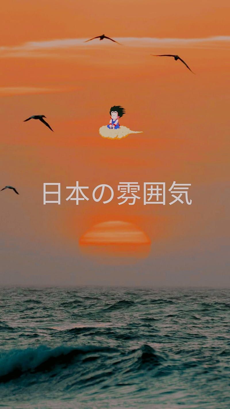 Meer, Wellen, Möwen, Japanische Schrift, Vaporwave, Sonnenuntergang, HD, Handy-Hintergrundbild