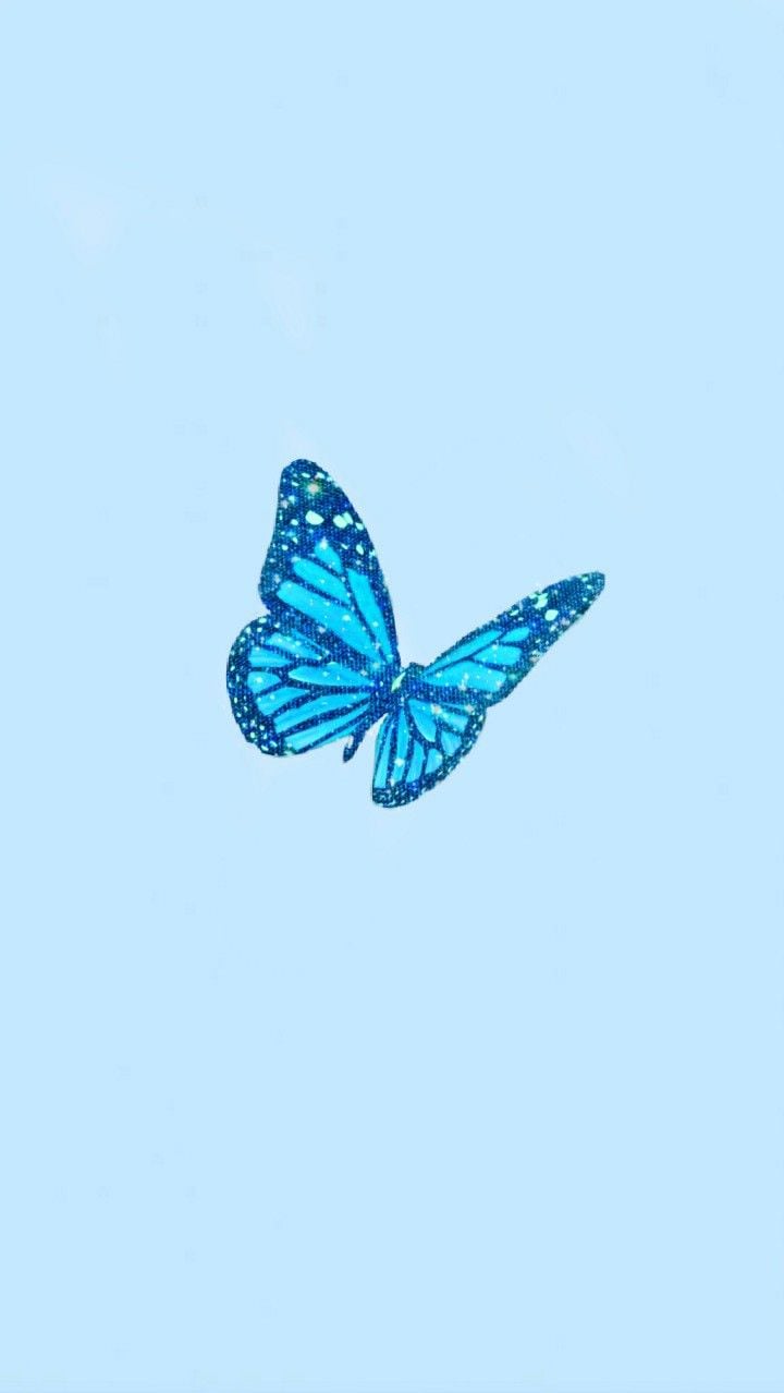 Schmetterling, Hellblauer Hintergrund, Minimalistisch, Babyblau, Hochformat, Sperrbildschirm