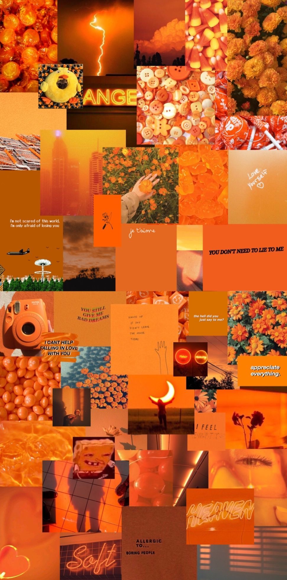 Collage, Ästhetik, Orange, Blumen, Hintergrundbild für iPhone und Android