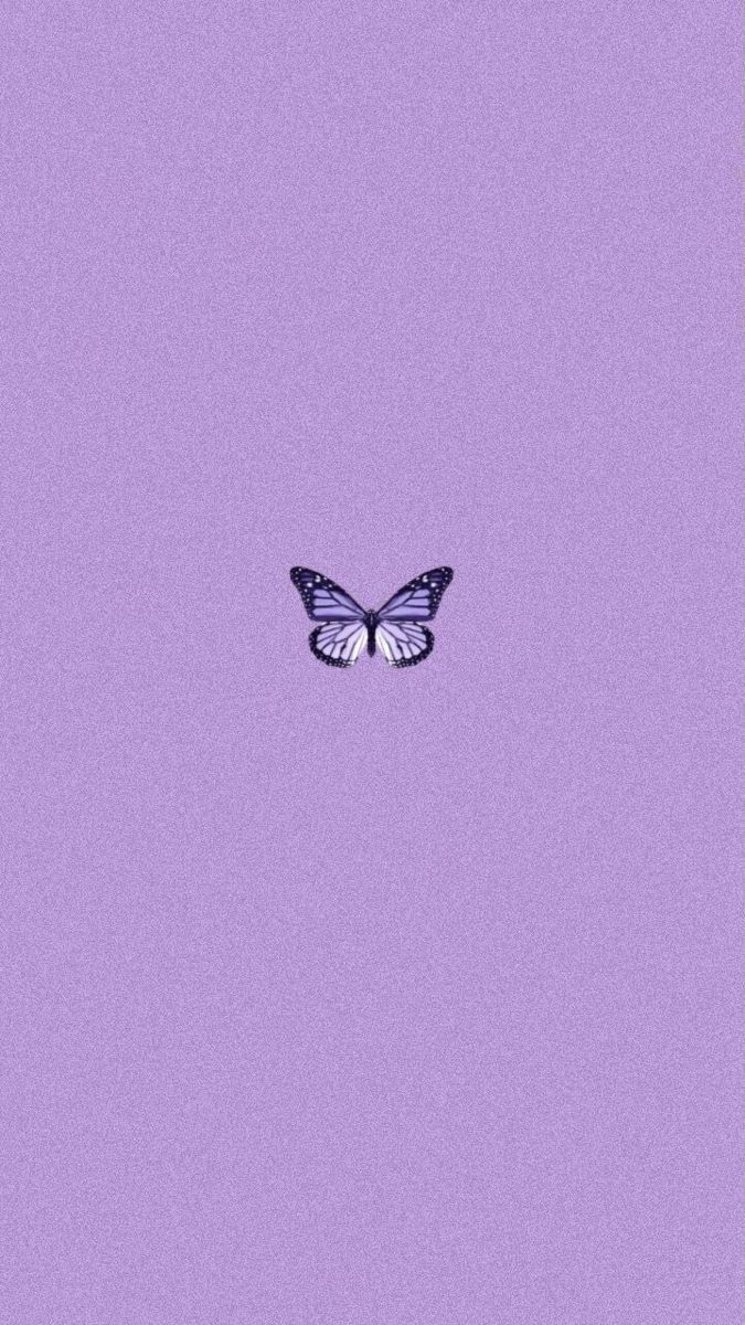 Schmetterling, Lila Hintergrund, Minimalistisch, Schlicht, Lavendel, Sperrbildschirm fürs iPhone