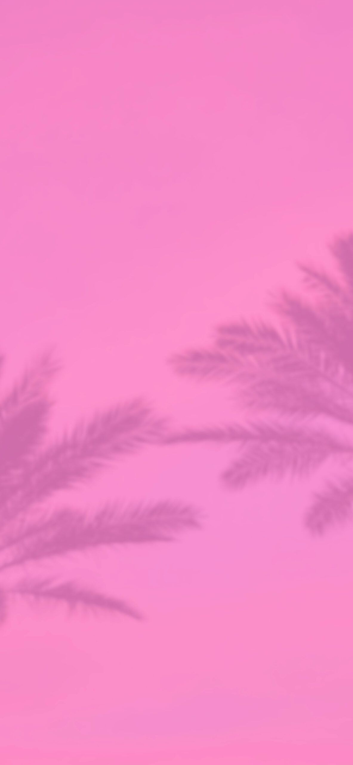 Palmenschatten, Pink, Minimalismus, Full HD, Hintergrundbild fürs Handy