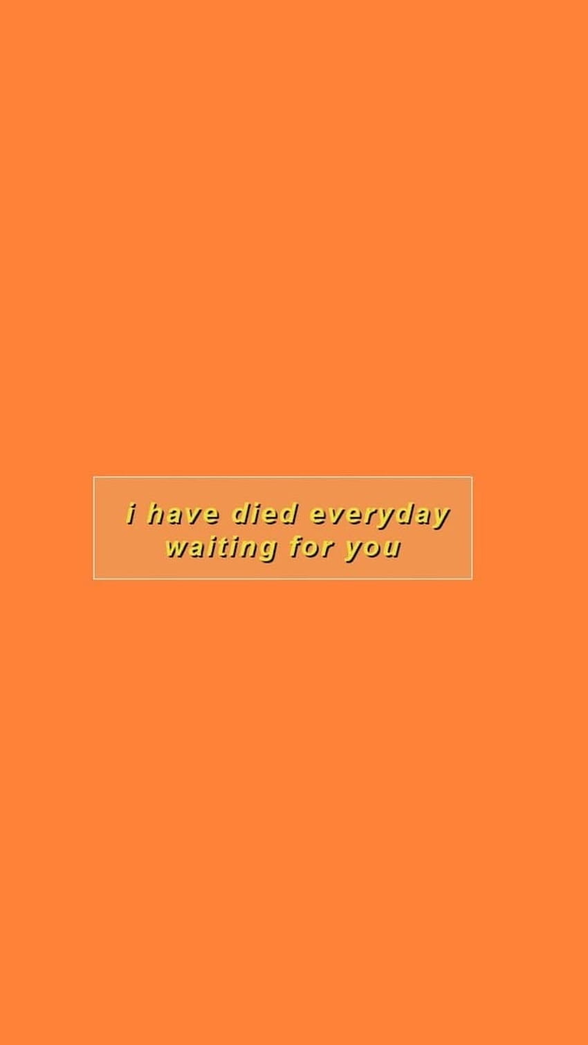 Orangefarbener Hintergrund, Minimalistisch, Zitat, Typografie, Sperrbildschirm fürs iPhone