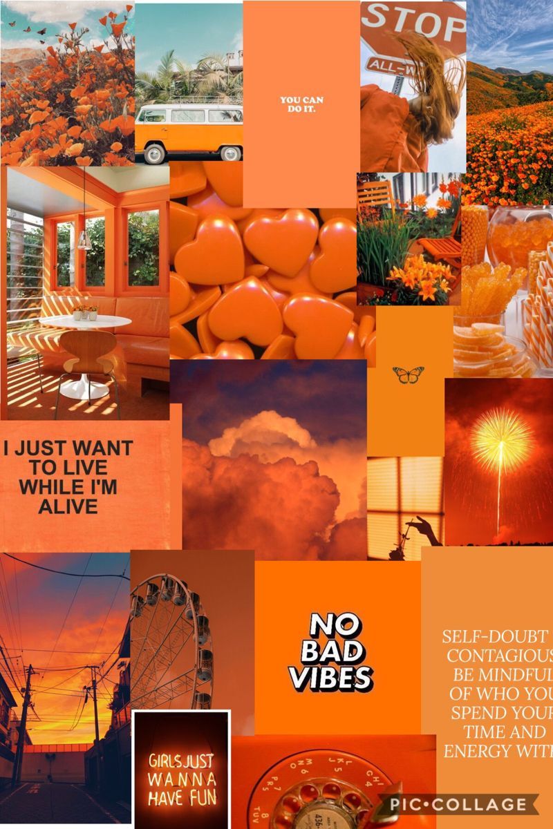 Collage, Kürbisse, Herbst, Ästhetik, Orange, Hochformat, Hintergrundbild fürs Smartphone