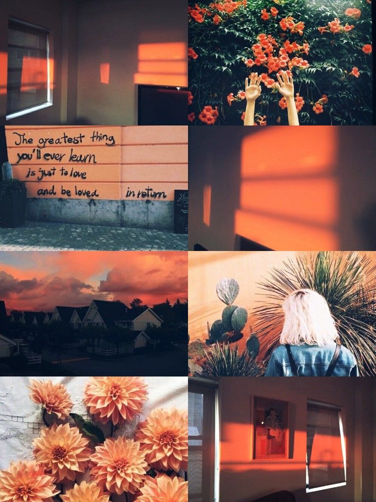 Collage, Orange, Ästhetik, Blumen, Sonnenlicht, HD, Hintergrundbild fürs Tablet