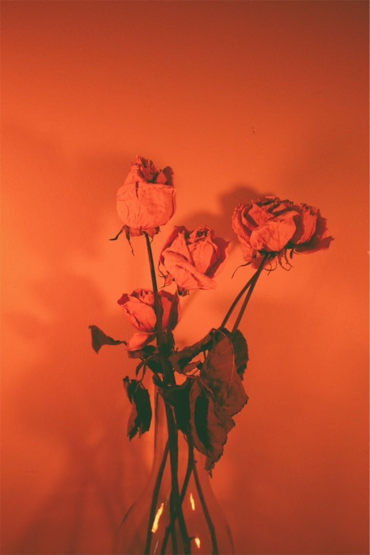 Rosen, Blumenstrauß, Orangerot, Stillleben, HD, iPad-Hintergrundbild