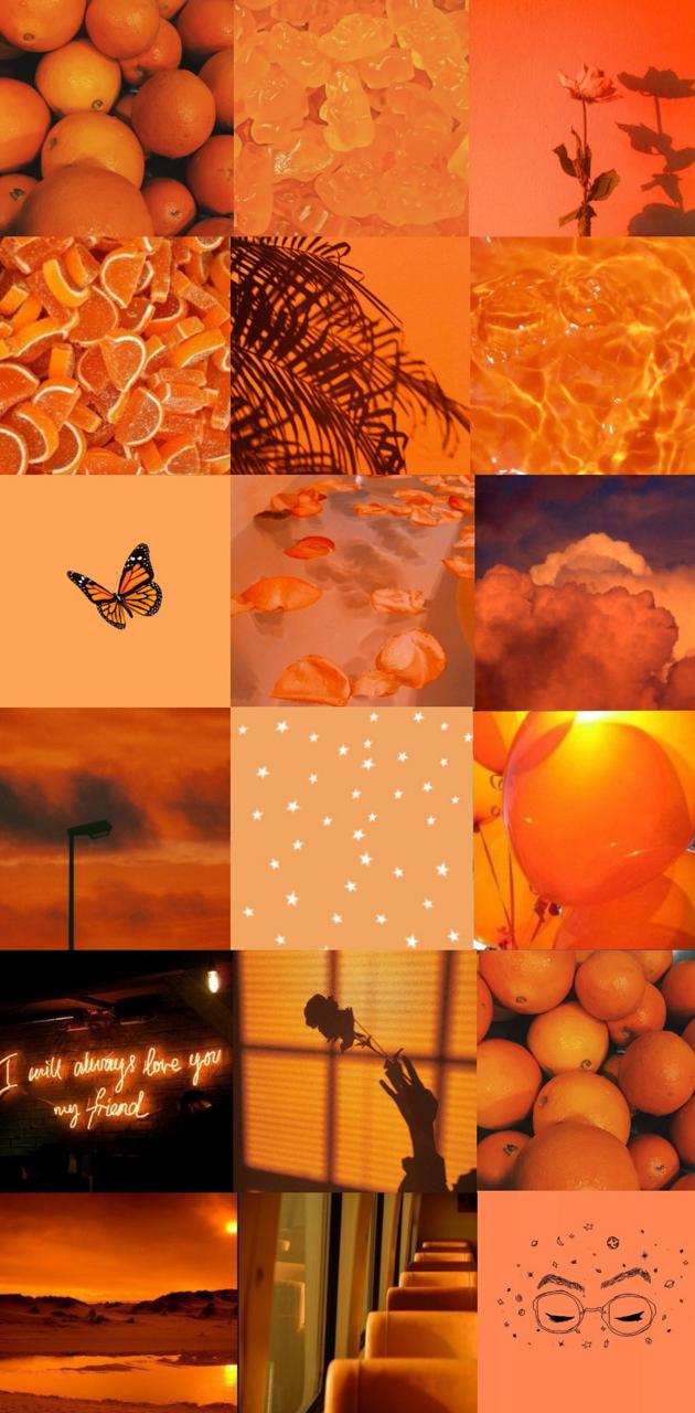 Collage, Schmetterling, Orangen, Ästhetik, Pfirsichfarben, Android-Hintergrundbild