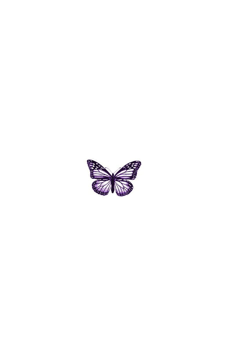 Schmetterling, Weißer Hintergrund, Minimalistisch, Lila, Klein, Sperrbildschirm fürs iPhone